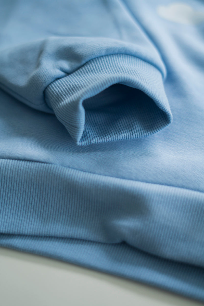 PAS DE PANIQUE HOODIE